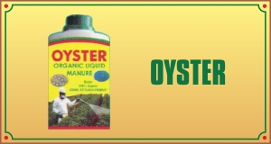 OYSTER